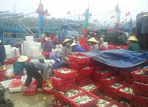Nghệ An: Quý I/2018 đánh bắt gần 43 nghìn tấn thủy hải sản