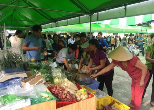 TP. HCM: Khai mạc chợ phiên nông sản an toàn thứ 5