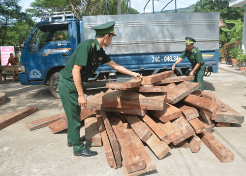 Thu giữ hơn 2 tấn gỗ trắc không rõ nguồn gốc