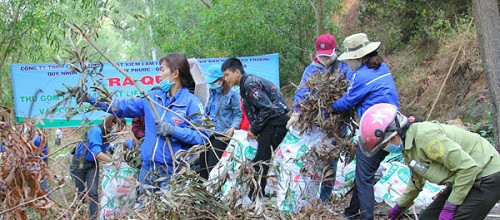 Bình Định tổ chức thu gom rác, vật liệu dễ cháy trên núi Bà Hỏa