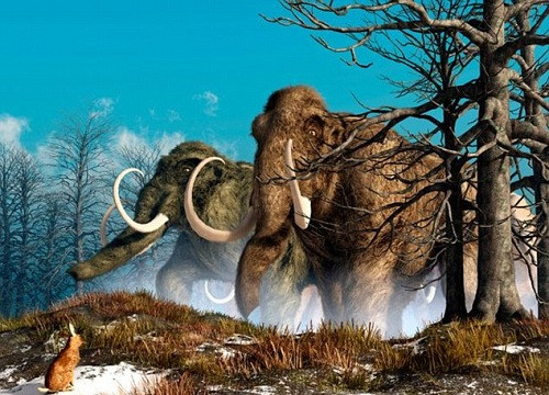 Voi ma mút tuyệt chủng 4.000 năm sắp được “tái sinh”