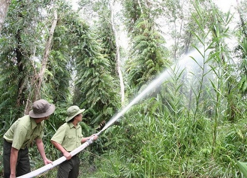 Cảnh báo cháy rừng cấp 5 tại Bạc Liêu