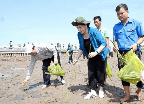 Chủ tịch Quốc hội tham gia Lễ trồng cây “Quỹ 1 triệu cây xanh cho Việt Nam”