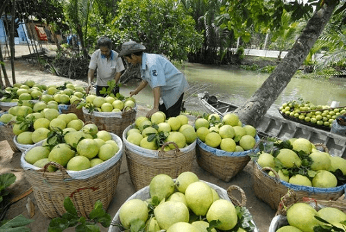 Trà Vinh dẫn đầu cả nước về quản lý an toàn thực phẩm nông, lâm, thủy sản