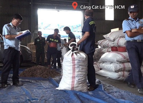 Phát hiện 3,3 tấn vảy tê tê đang trên đường sang Campuchia tiêu thụ