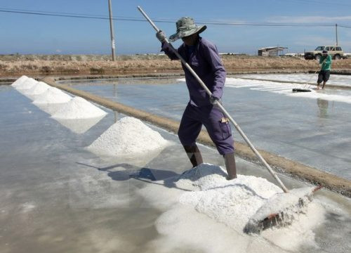 Diêm dân Phú Yên “khốn đốn” vì muối được mùa mất giá