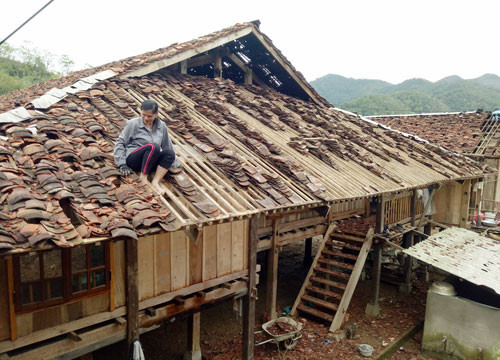 Gió lốc gây thiệt hại 450 triệu đồng ở Lào Cai