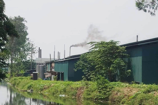Đình Xuyên (Gia Lâm, Hà Nội): Hàng loạt nhà xưởng sản xuất gỗ ép hoạt động trái phép, gây ô nhiễm môi trường tra tấn người dân