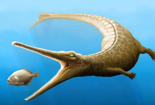 Phát hiện hóa thạch cá sấu 180 triệu năm tuổi
