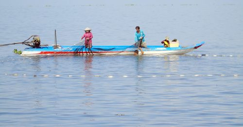 Kiên Giang: Tăng cường công tác tuyên truyền bảo vệ nguồn lợi thủy sản