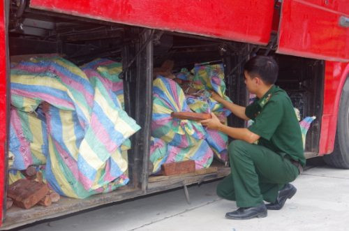 Bắt giữ xe liên vận biển kiểm soát Campuchia vận chuyển hơn 3 tấn gỗ trắc