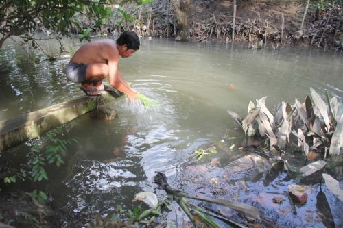 Tiền Giang: Người dân khốn khổ vì “khát” nước sạch