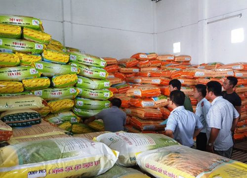 Đồng Tháp: Phát hiện cơ sở buôn bán lúa giống giả