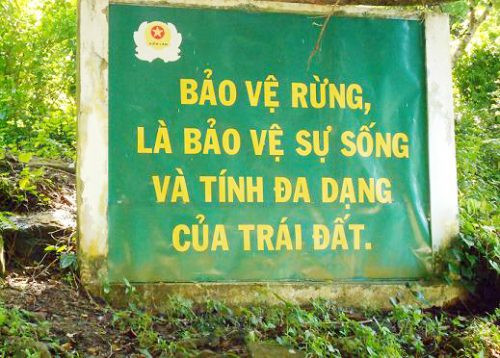 Vườn quốc gia U Minh Thượng chủ động phòng cháy rừng mùa khô