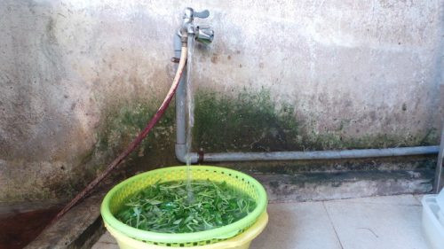 TP. HCM: Nhiều giếng nước do người dân tự đào bị ô nhiễm