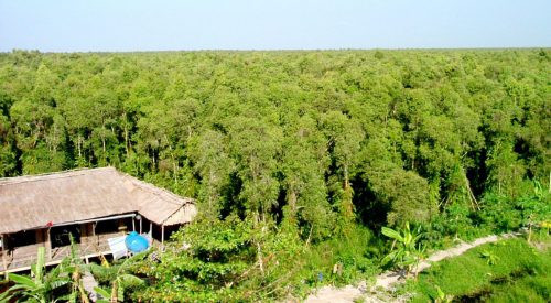 Kiên Giang: Giảm 29 vụ vi phạm pháp luật về bảo vệ rừng