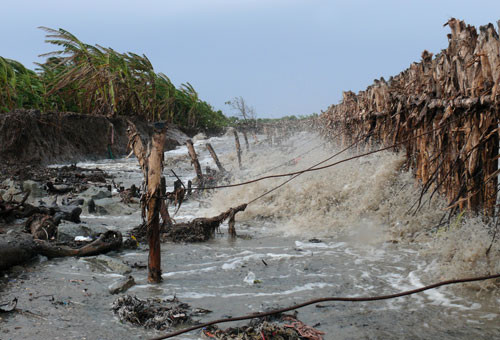Cà Mau đầu tư 600 tỷ đề xử lý tình trạng sạt lở bờ sông, bờ biển