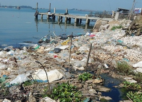 Người dân khốn khổ vì cảng cá biến thành “cảng rác”