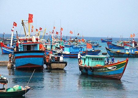Quảng Bình: Hơn 65,3 tỷ đồng hỗ trợ chủ tàu cá khai thác hải sản vùng biển xa
