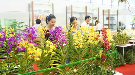 Đà Nẵng tổ chức Triển lãm Nông nghiệp quốc tế lần thứ 18-AgroViet 2018