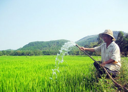 Thanh Hóa: Chủ động nguồn nước sản xuất nông nghiệp