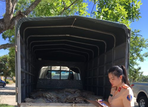 Thanh Hóa: Phát hiện xe tải chở 1 tấn bì lợn hôi thối không rõ nguồn gốc