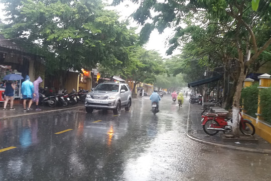 Quảng Nam: Cơn mưa “vàng” xua tan nắng nóng