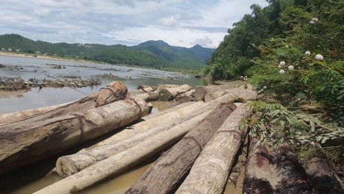 Phát hiện bãi gỗ lậu tại bến sông Vu Gia