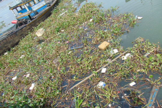 Đà Nẵng: Dòng sông Hàn ngập tràn bèo, rác thải