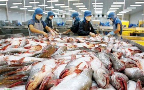 Việt Nam đẩy mạnh xuất khẩu thủy sản sang Brazil