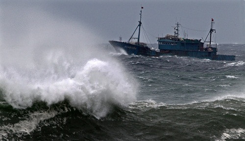 Lo ngại bão Sơn Tinh càn quét, hơn 2000 tàu thuyền tại Nghệ An neo đậu tại bến