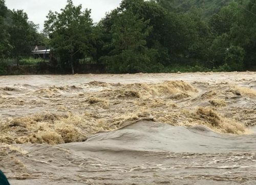 Nghệ An: Đã tìm thấy 35 người vào rừng hái măng bị mất liên lạc khi bão đổ bộ