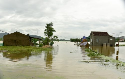 Nghệ An: Mưa lớn gây vỡ đê, nhiều xã bị cô lập