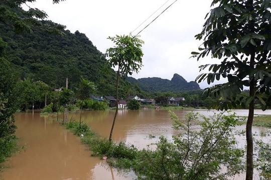Nghệ An: Hàng chục hộ dân ở Con Cuông ngập chìm trong biển nước