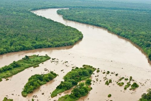 1/3 diện tích rừng tự nhiên Tiểu vùng Mekong mở rộng đã bị mất