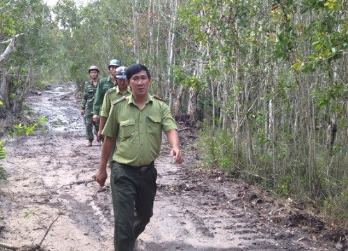 Tăng cường bảo vệ ngăn chặn tình trạng phá lấn chiếm rừng trái pháp luật