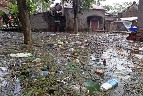 Hà Nội: “Lũ rác” bủa vây vùng ngập lụt