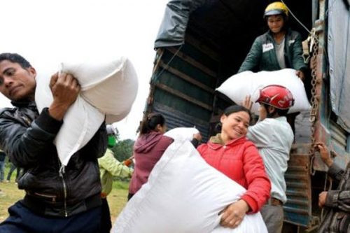 Thanh Hóa được hỗ trợ 50.790 tấn gạo