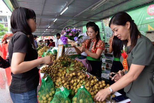 Khai mạc “Tuần lễ nhãn và nông sản an toàn tỉnh Sơn La năm 2018”