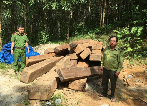 Phát hiện 24 phách gỗ vô chủ ở bìa rừng