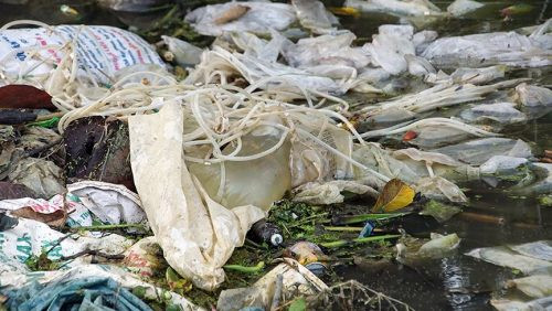 Hà Nội: Lũ rút, người dân vùng lụt lại thêm nỗi lo về rác thải nguy hại