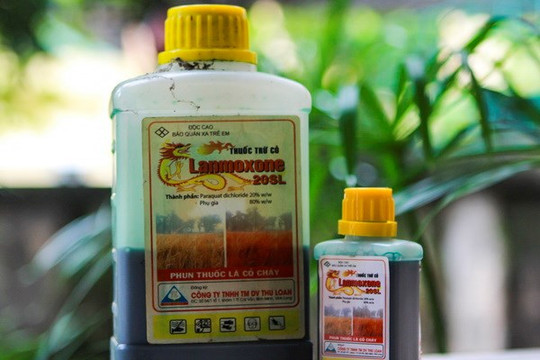 Phát hoảng vì 60% số thuốc diệt cỏ ở Việt Nam có thể gây ung thư vì chứa glyphosate