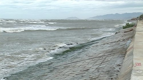 Ninh Thuận: Nhanh chóng xử lý đê biển sạt lở do triều cường
