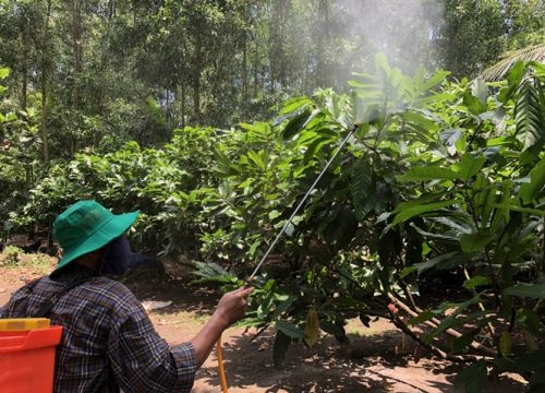Báo động thuốc bảo vệ thực vật, mùi phân, gây ô nhiễm ở các tỉnh miền Đông Nam Bộ
