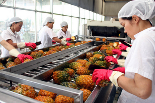 Trái cây Việt từng bước thâm nhập thị trường quốc tế