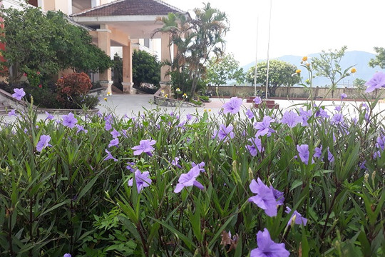 Hà Tĩnh: Mê mẩn vẻ đẹp sắc hoa tươi thắm, thân thiện môi trường ở xã nông thôn mới