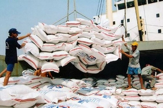 Những điều kiện mới về kinh doanh xuất khẩu gạo