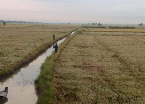 Hơn 14.580 ha lúa ngập úng tại  An Giang