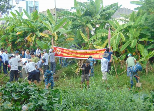 Hội cựu chiến binh Đà Nẵng tích cực bảo vệ môi trường