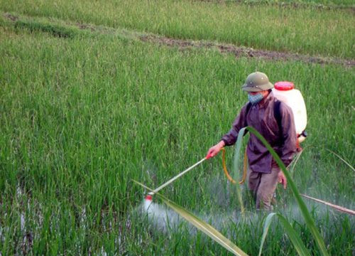 Việt Nam:  Nằm trong số quốc gia đứng đầu về sử dụng thuốc bảo vệ thực vật